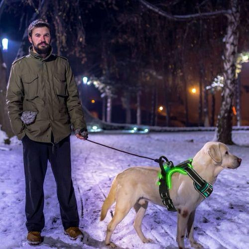 Rechargeable LED Dog Harness